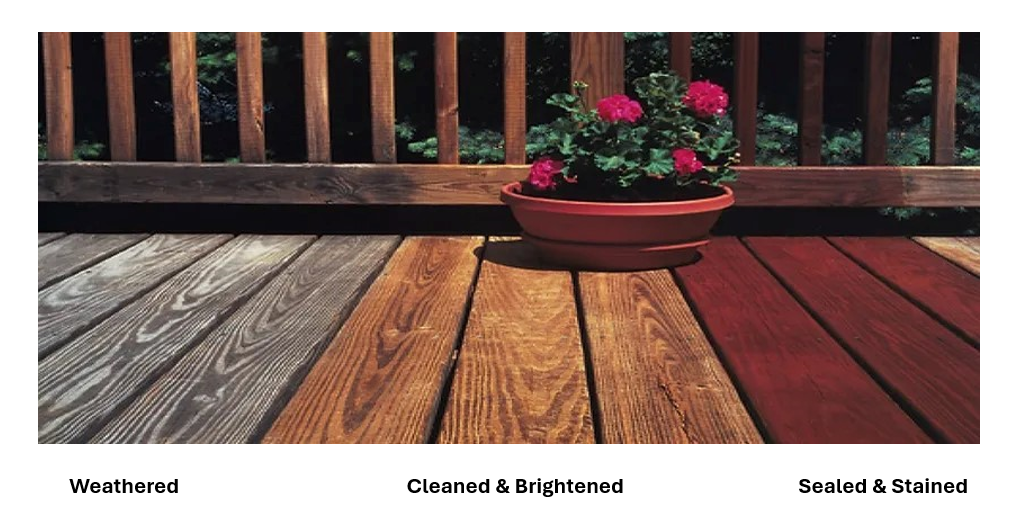 Sun Frog Wood Brightener